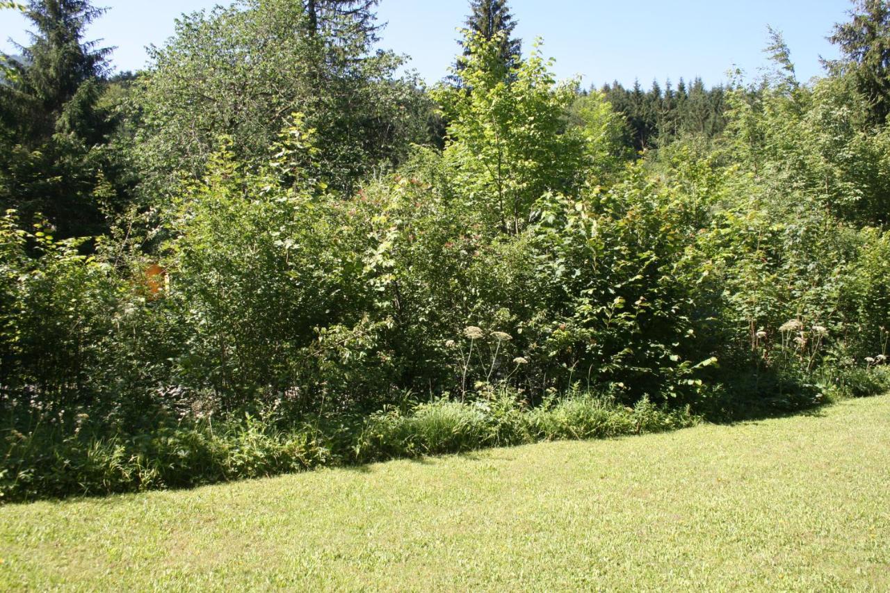 Apartmán Grunau Feriendomizil Grünau im Almtal Exteriér fotografie